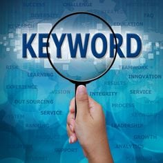 landingspagina's, landingspaginas, SEO specialist Den Haag