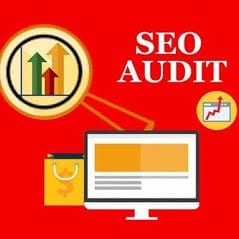 SEO Audit, SEO expert Den Haag, SEO consultant Den Haag