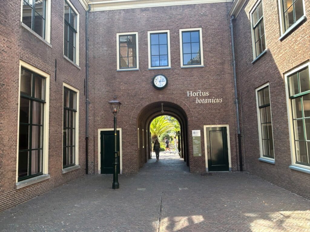 seo bureau Leiden