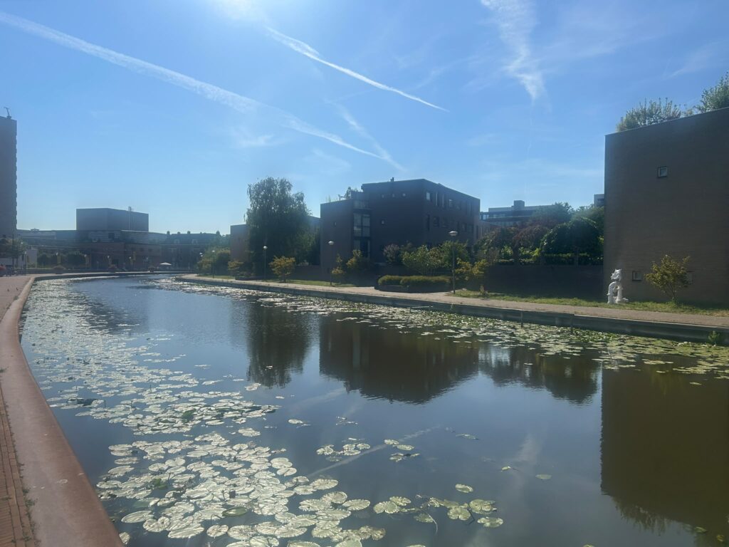 seo bureau Schiedam